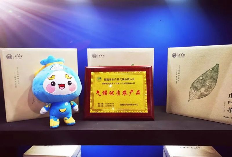 关于福鼎白茶又一盛会！2022中原福鼎白茶文化节这次在郑州​！的相关信息(5)
