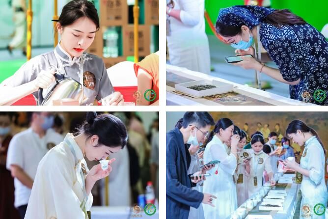 关于全国首个宋风“奥运会”！“凤凰单丛茶”杯第十二届国际鼎承宋代武林斗茶大会圆满举办！的新闻(11)
