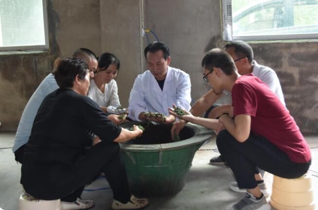 关于遵义市茶产业农村实用人才示范培训班在余庆县开班的相关信息(2)
