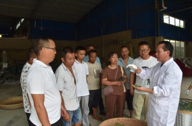 关于遵义市茶产业农村实用人才示范培训班在余庆县开班的相关信息(1)