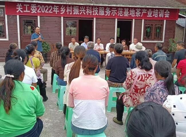 有关于普定县关工委指导乡村振兴科技服务示范基地茶产业培训的信息