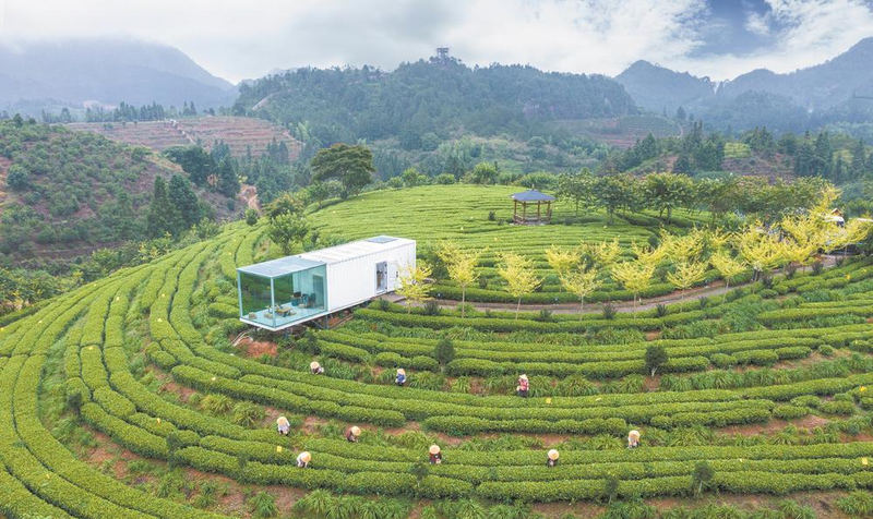 有关于2022年寻访福建最美茶乡走进永泰:大樟溪畔吃茶去的消息(1)