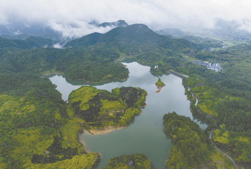 有关于2022年寻访福建最美茶乡走进永泰:大樟溪畔吃茶去的消息(8)