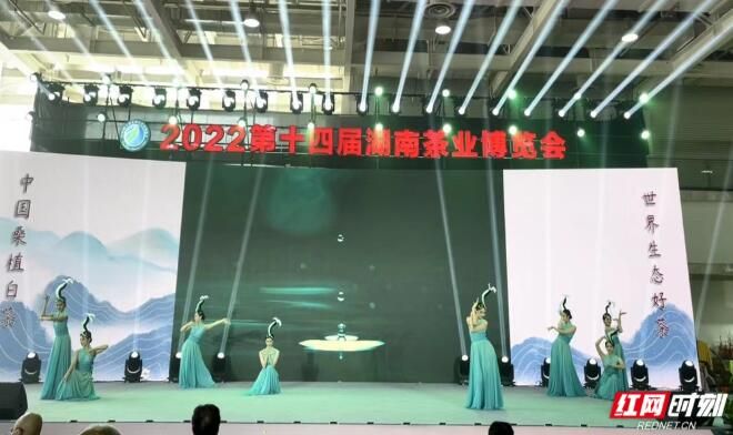 有关于带着“风花雪月”来见你 桑植白茶亮相湖南茶博会的最新消息