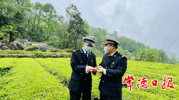 关于部门“一对一” 服务有实效 常德市百余吨茶叶实现自主报关出口的最新消息
