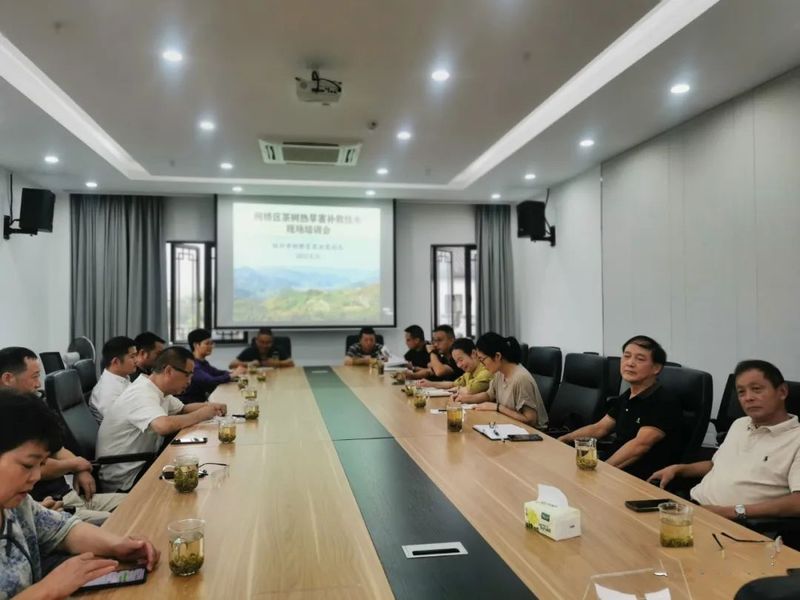 有关于柯桥区举行茶树热旱害补救技术培训会的资讯(2)