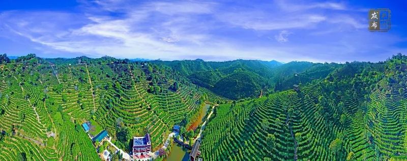 关于喝茶吗？我在“茶船古道”起点的古镇等你的信息(15)