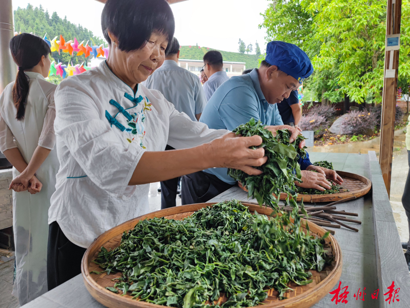关于喝茶吗？我在“茶船古道”起点的古镇等你的信息(14)
