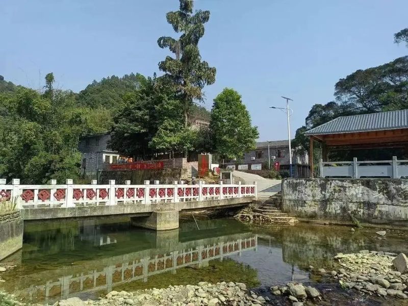 关于喝茶吗？我在“茶船古道”起点的古镇等你的信息(11)