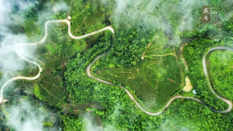 关于喝茶吗？我在“茶船古道”起点的古镇等你的信息(1)