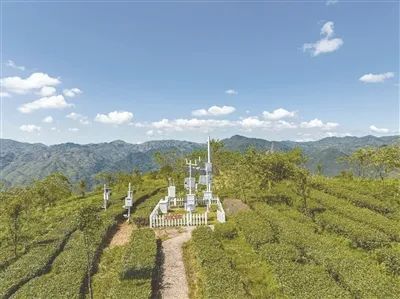 关于泉州安溪：清新福地闻茶香的消息(1)