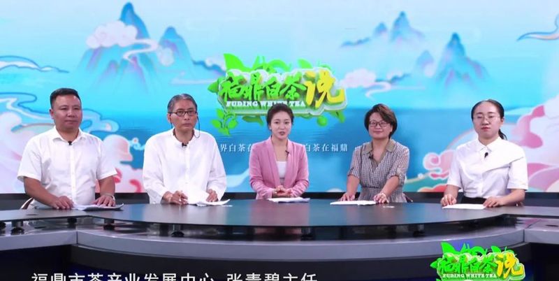 关于《福鼎白茶说》——福鼎茶园的“烤“验的相关信息