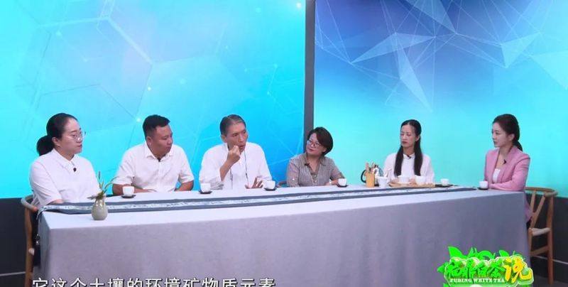 关于《福鼎白茶说》——福鼎茶园的“烤“验的相关信息(7)
