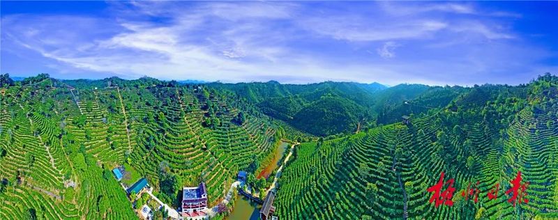关于绿色产业造福一方百姓的最新消息(1)