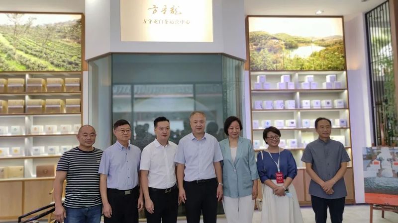 关于福鼎市茶产业发展领导小组领导莅临河南国香茶城视察白茶企业的最新消息(11)