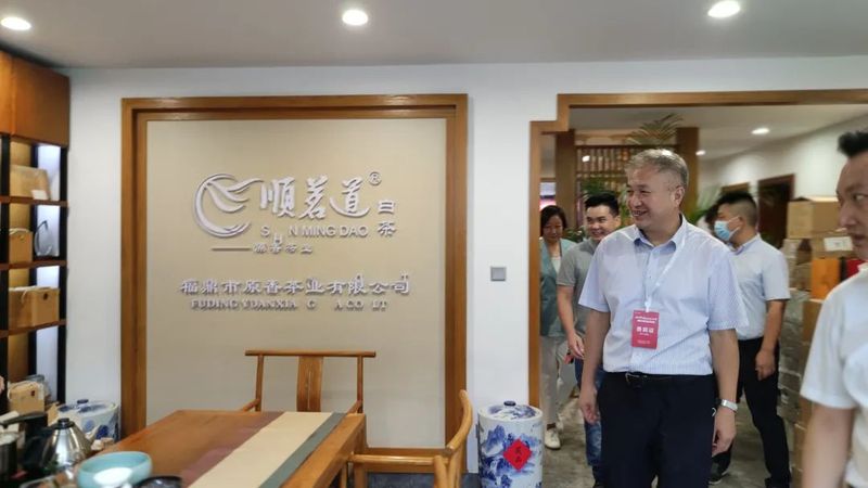 关于福鼎市茶产业发展领导小组领导莅临河南国香茶城视察白茶企业的最新消息(9)
