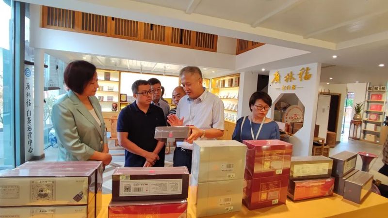 关于福鼎市茶产业发展领导小组领导莅临河南国香茶城视察白茶企业的最新消息(8)