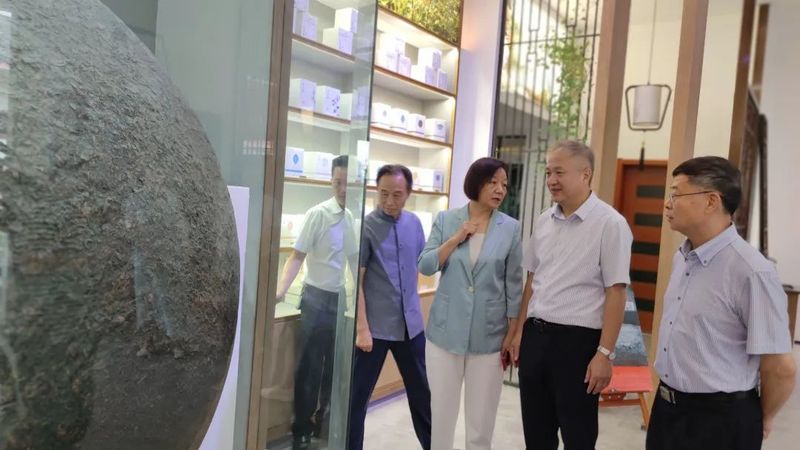 关于福鼎市茶产业发展领导小组领导莅临河南国香茶城视察白茶企业的最新消息(10)