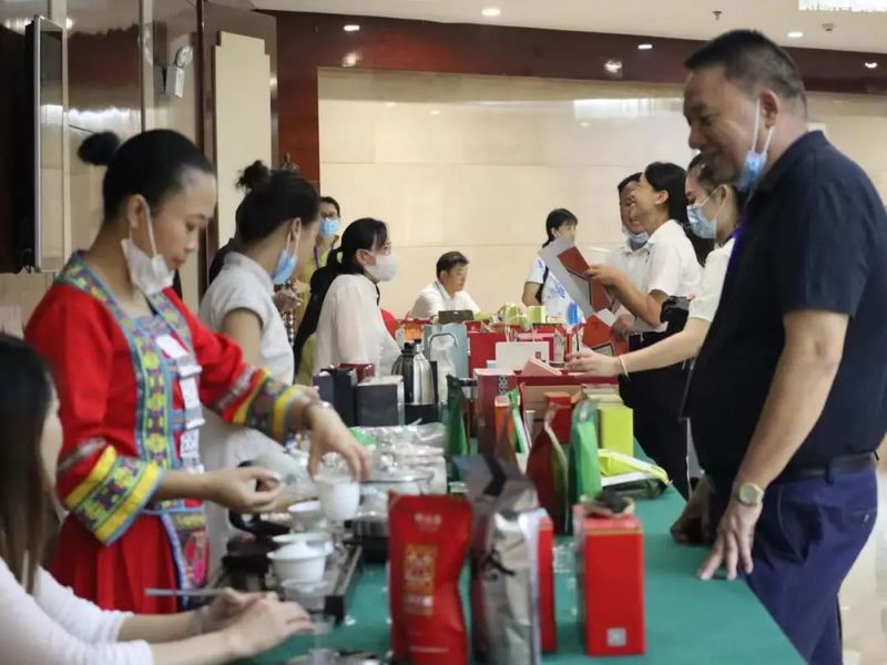 关于2022第十四届湖南茶业博览会新闻发布会暨江华苦茶高峰论坛举办的相关内容(12)