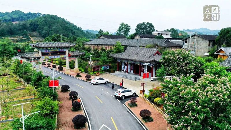 有关于产业“顶天立地” 产品“铺天盖地” 苍梧县以“四大会战”为抓手全力推进六堡茶产业发展的消息