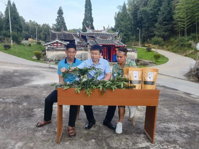 关于大田:直播带货,助力农特产品“飞”出大山的消息(3)