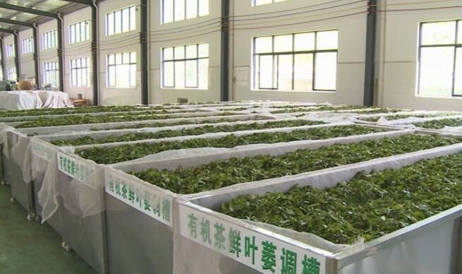关于谷城120吨茶叶乘湖北首趟茶叶专列远销俄罗斯的内容(3)
