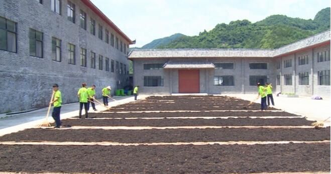 关于谷城120吨茶叶乘湖北首趟茶叶专列远销俄罗斯的内容(5)