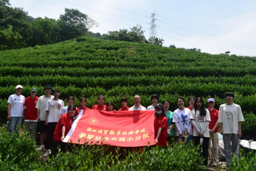有关于浙江经贸学子三下乡：茶文化宣传助力乡村振兴的内容(6)