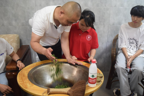 有关于浙江经贸学子三下乡：茶文化宣传助力乡村振兴的内容(3)