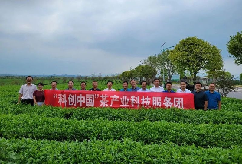 有关于“科创中国”茶产业科技服务团助力咸宁茶业高质量发展的相关内容