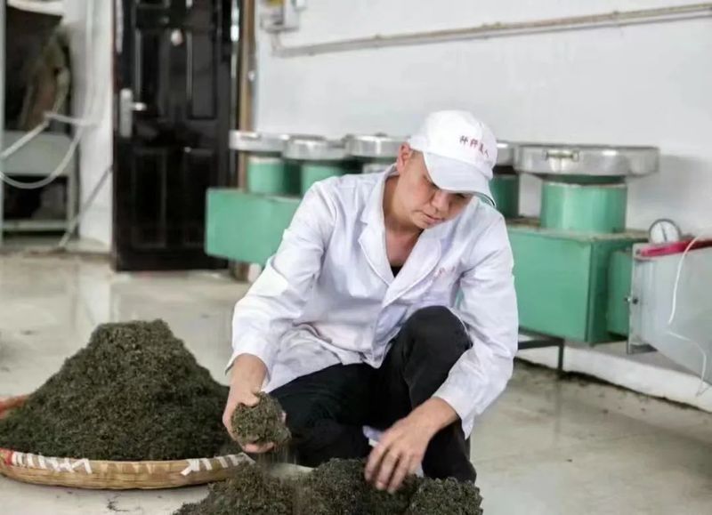 关于8月茶情,贵州省掀起培训热潮 “95后”登顶加工赛的新闻(28)