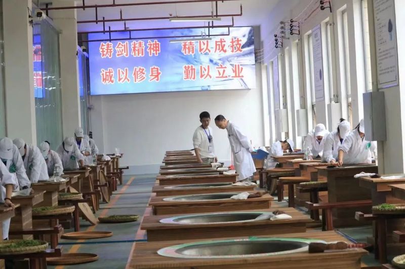 关于8月茶情,贵州省掀起培训热潮 “95后”登顶加工赛的新闻(11)