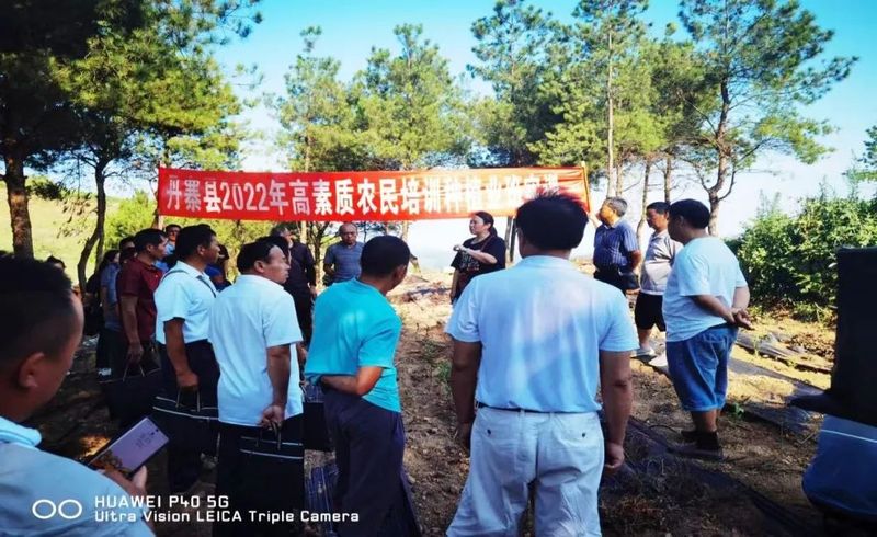 关于8月茶情,贵州省掀起培训热潮 “95后”登顶加工赛的新闻(2)