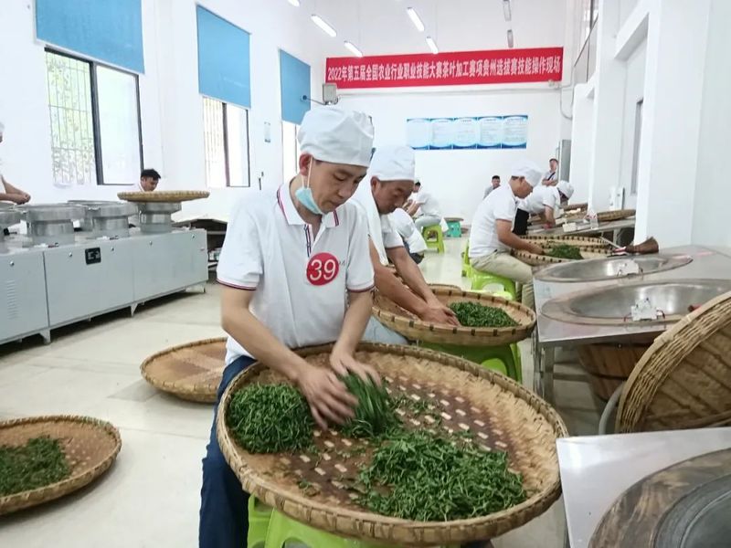 关于8月茶情,贵州省掀起培训热潮 “95后”登顶加工赛的新闻(22)