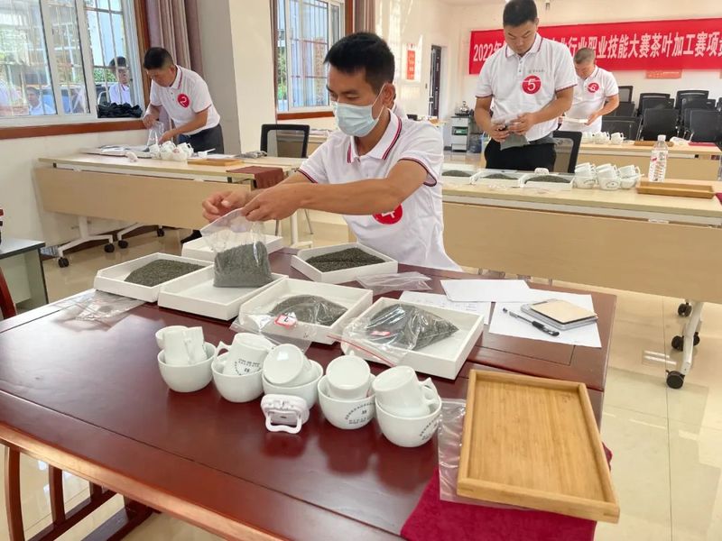 关于8月茶情,贵州省掀起培训热潮 “95后”登顶加工赛的新闻(27)