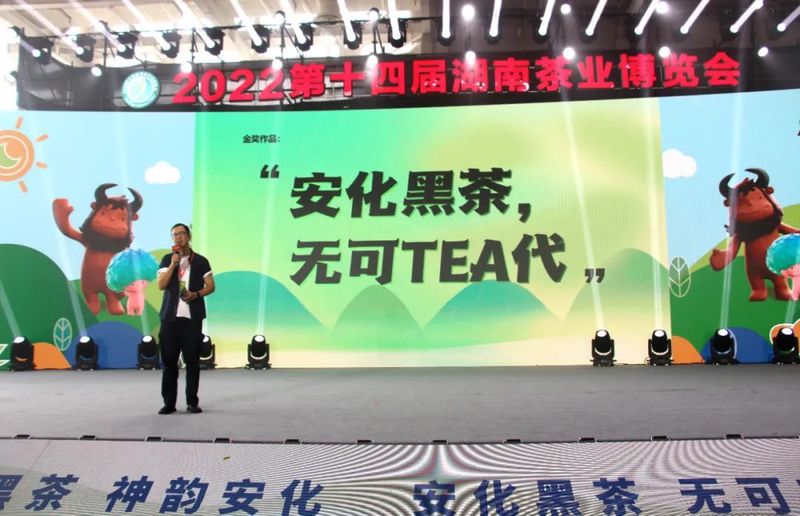 关于白沙溪的新闻(6)
