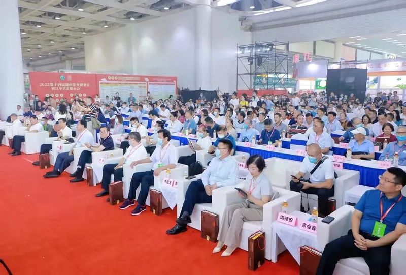 关于白沙溪的新闻(1)