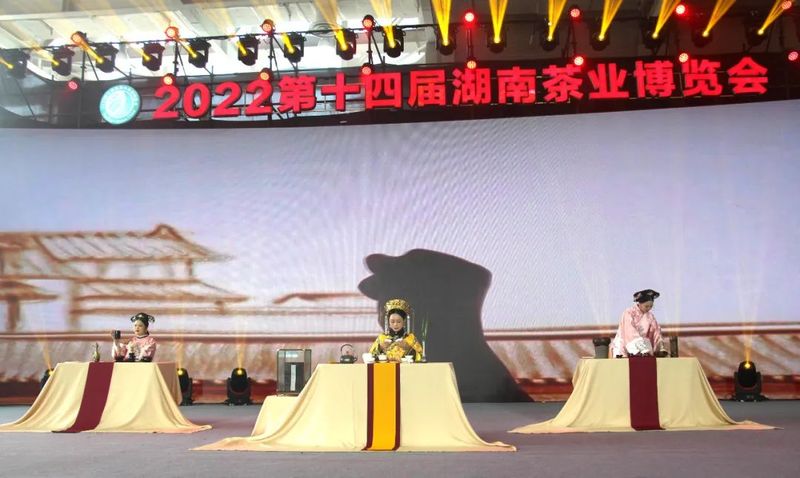 关于白沙溪的新闻(8)