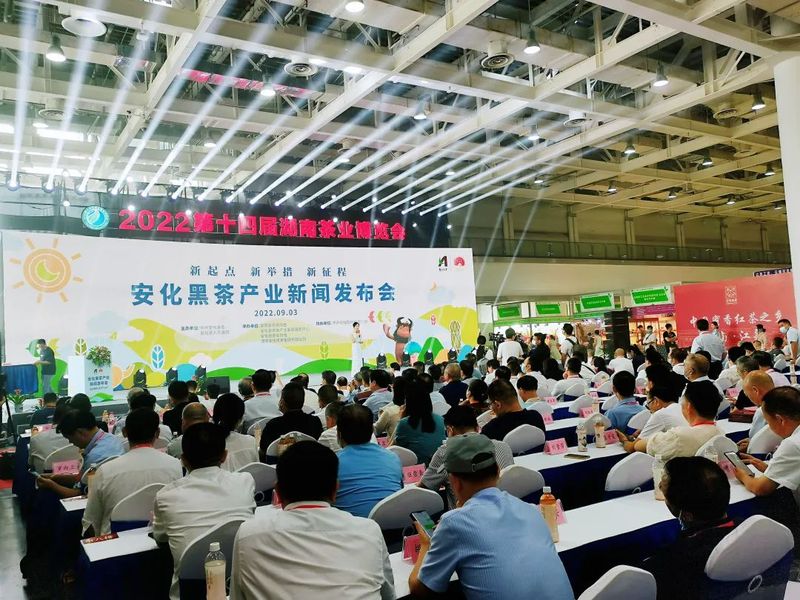 关于白沙溪的新闻
