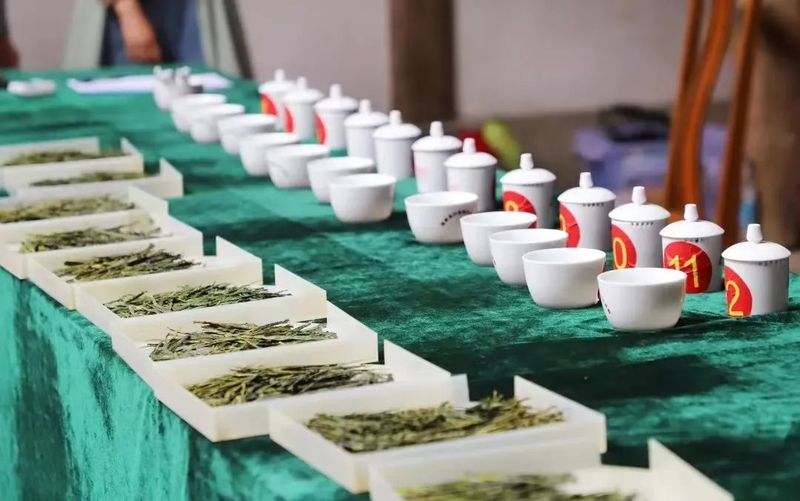 有关于疫情时代肩负使命 太平猴魁砥砺前行的新闻(3)