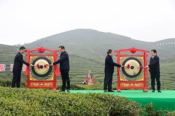 关于福鼎：构建茶产业发展新格局，以优异成绩迎接党的二十大的信息
