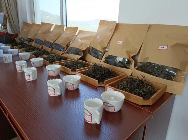 有关于临翔区2022 年古树晒青茶评比暨创新创业竞赛即将开赛的相关信息