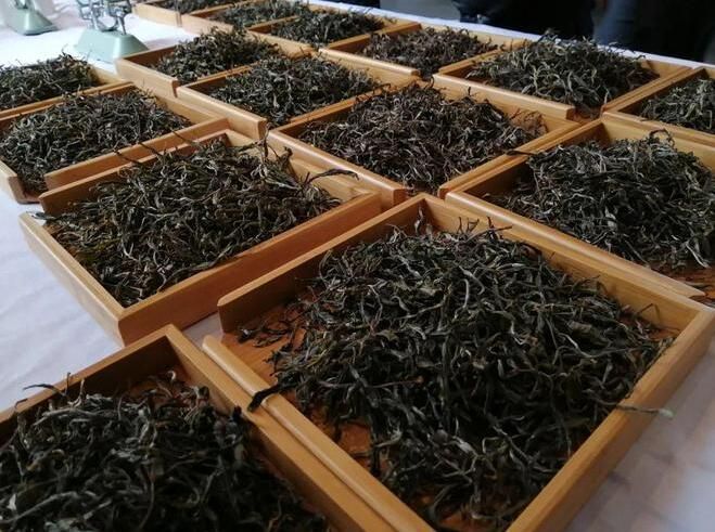 有关于临翔区2022 年古树晒青茶评比暨创新创业竞赛即将开赛的相关信息(1)