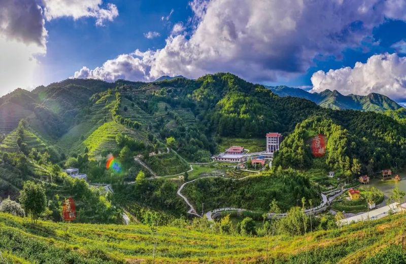 关于安溪法院司法保护辖区茶产业答好“民生考卷”的资讯