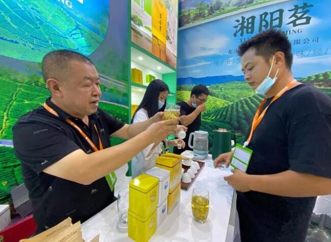 关于冷泡茶受青睐,第十四届湖南茶博会签订意向订单17.8亿的新闻(1)