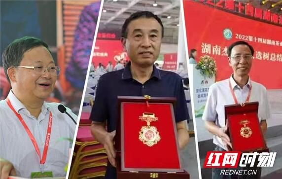 关于娄底3人获评“湖南杰出茶人”的相关信息(1)