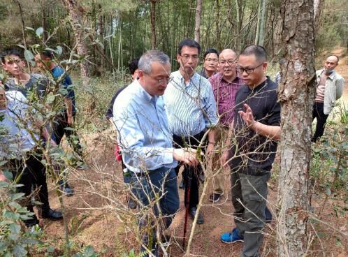 关于中国茶叶学会古道野枞创新驱动服务站的相关信息