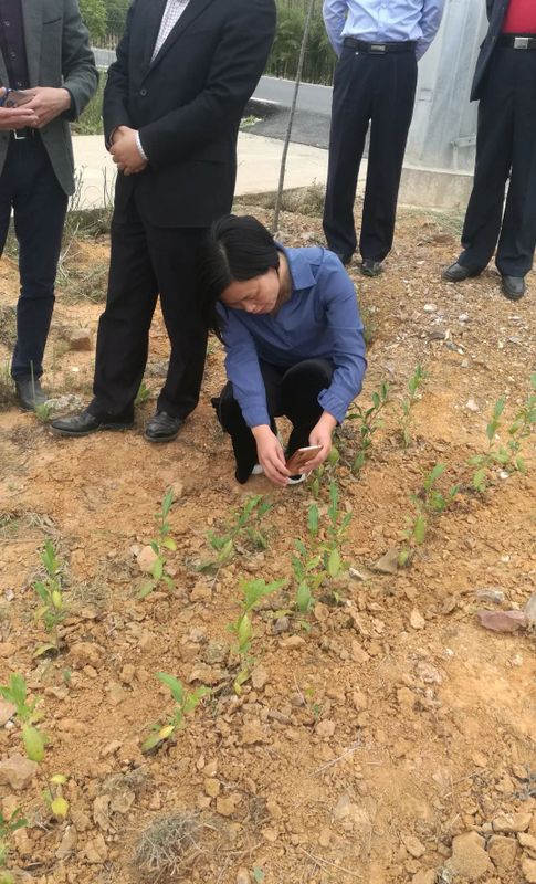 关于“劫后余生”话苏茶的相关信息(6)