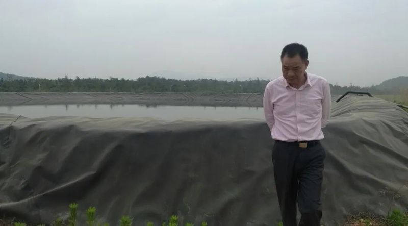 关于“劫后余生”话苏茶的相关信息(3)