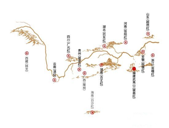 关于武夷红茶打造全国合作新体系,坚定中国红茶复兴之路的最新消息(6)